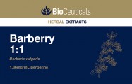 Barberry 1:1