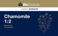 Chamomile 1:2