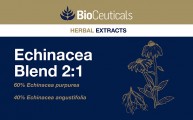 Echinacea Blend 2:1