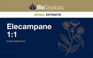 Elecampane 1:1