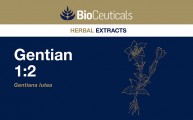 Gentian 1:2