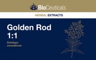 Golden Rod 1:1