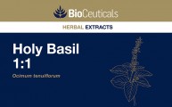 Holy Basil 1:1