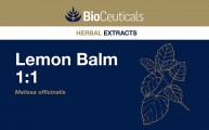 Lemon Balm 1:1