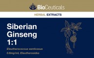 Siberian Ginseng 1:1